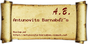 Antunovits Barnabás névjegykártya